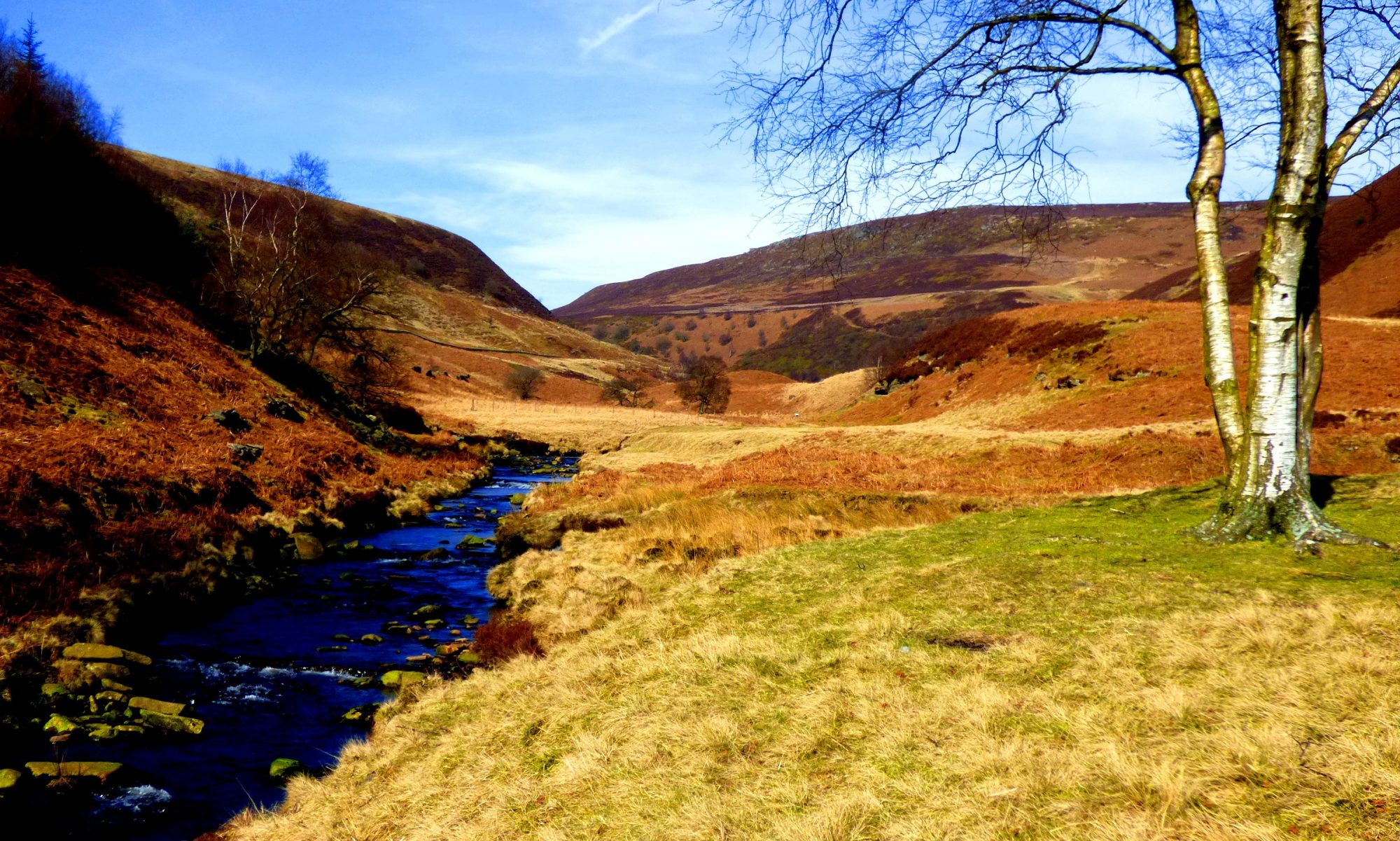 Moorland on Kinder Scout in the Peak District